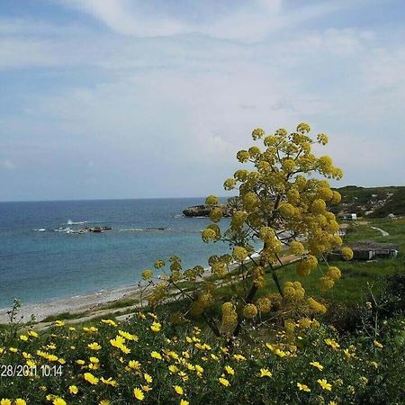 Marina Apartment B 16 - Tatlisu Trnc Ακανθού Εξωτερικό φωτογραφία